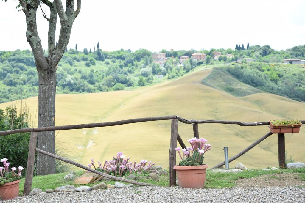 Appartamento Crete Senesi Castelnuovo Berardenga Exterior photo