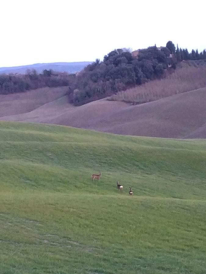 Appartamento Crete Senesi Castelnuovo Berardenga Exterior photo